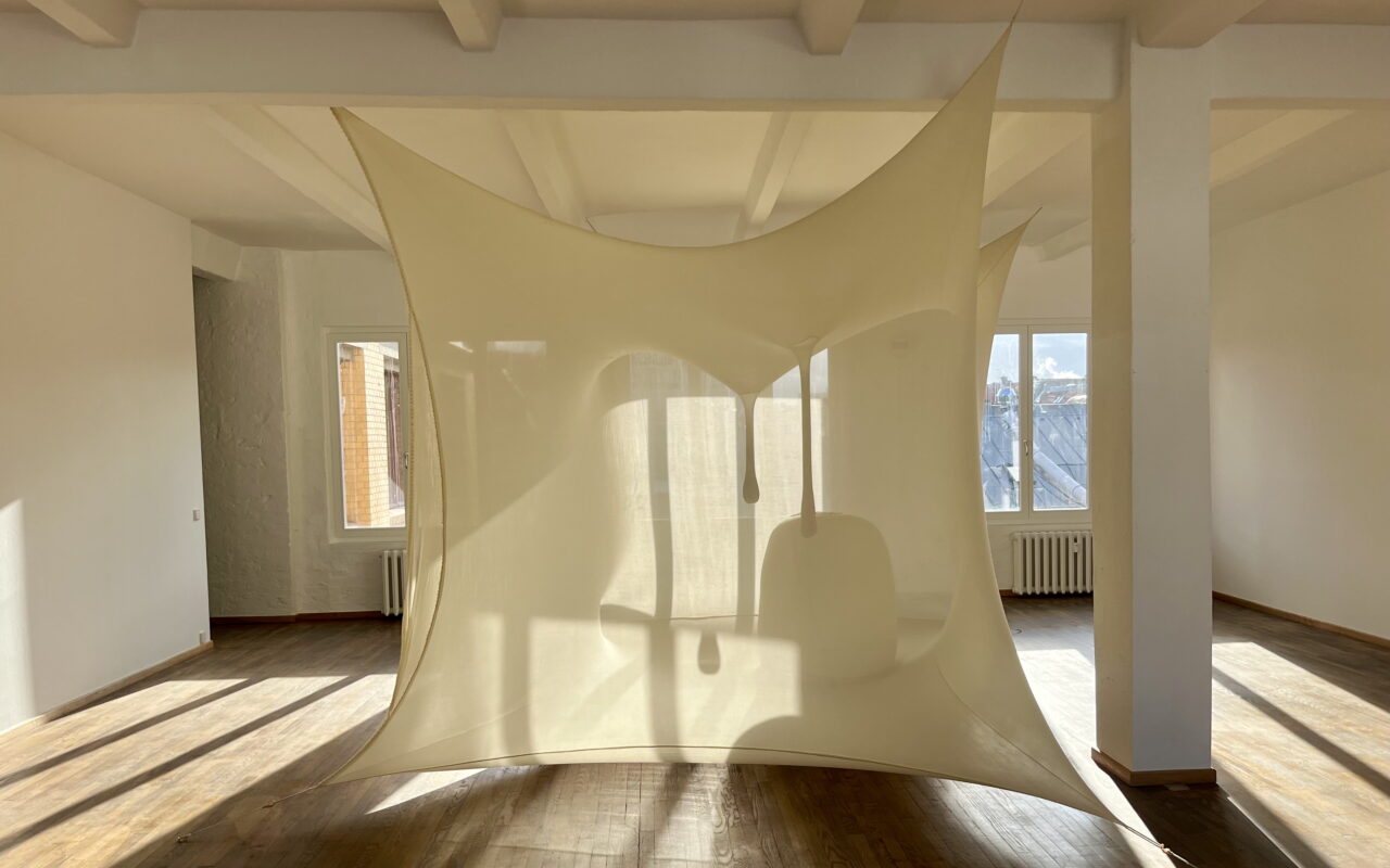 Neto Sammlung Hofmman